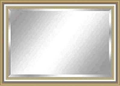 Champagne Color Frame Mirror
